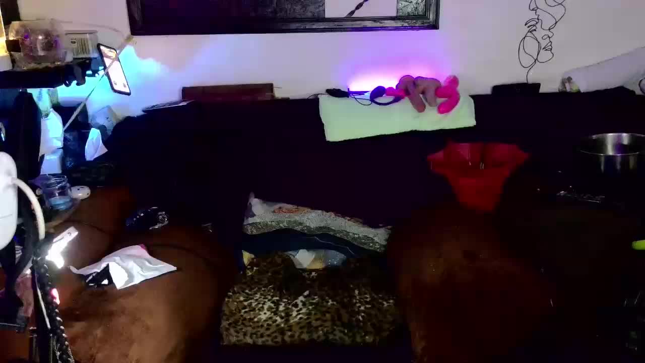 Fantasyca Adult Chat August 6, 2025