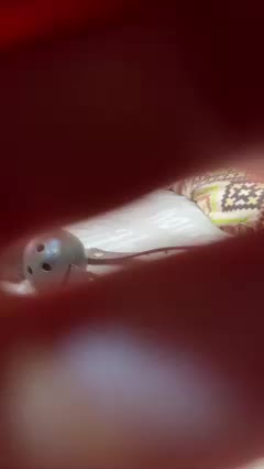 Go_k_nam Adult Chat August 6, 2025