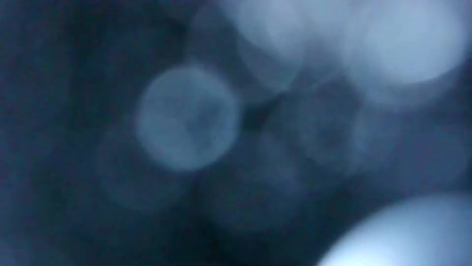 eveline_nancy Adult Chat August 6, 2025