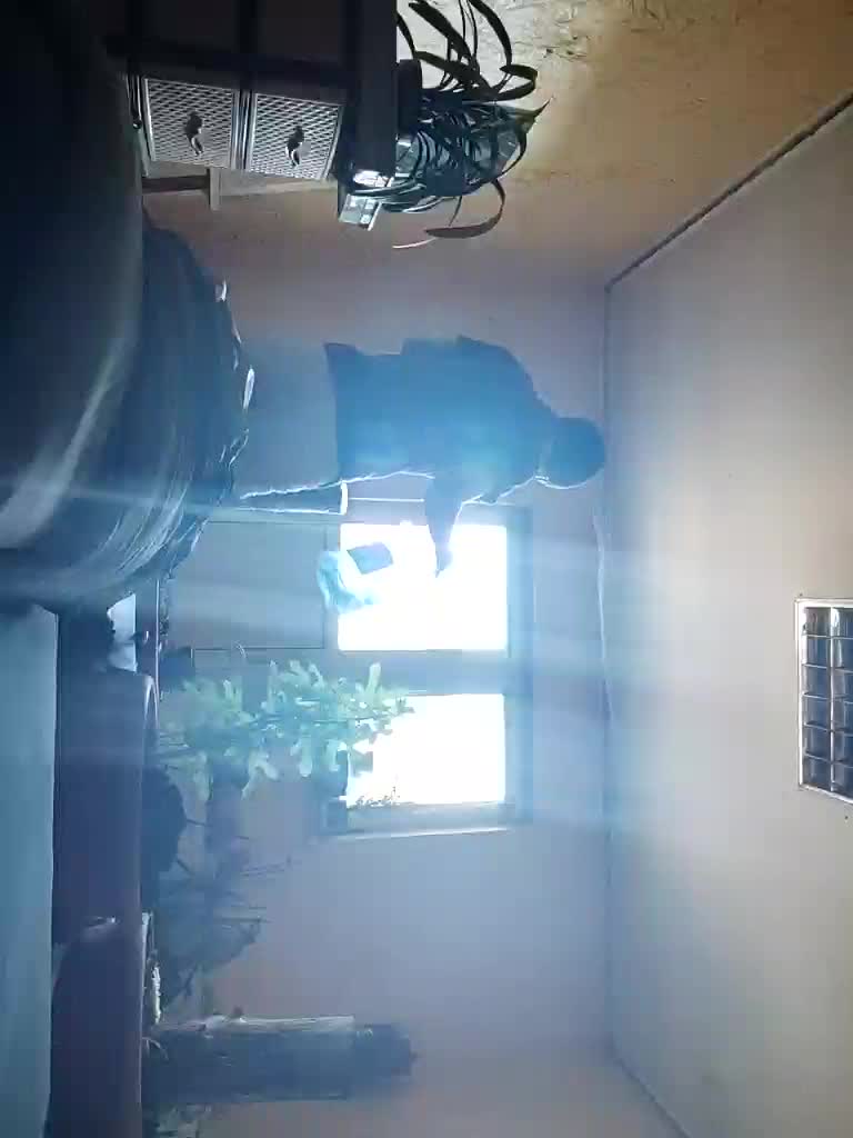 Kira700cams Adult Chat August 6, 2025