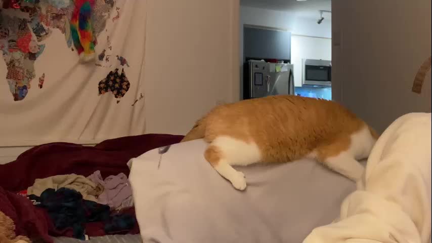 vanessapark Adult Chat August 6, 2025