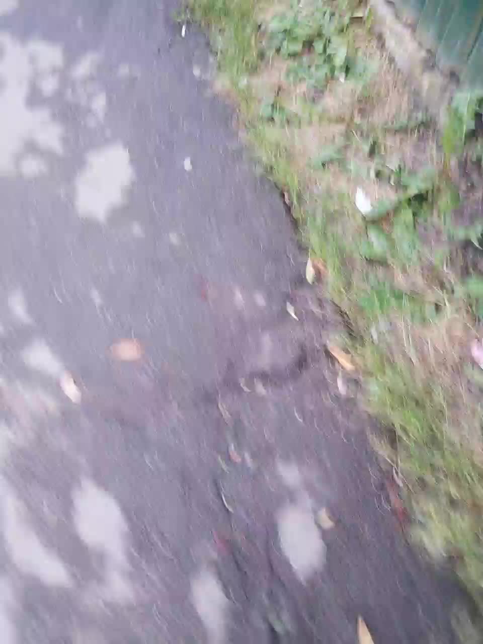 EVIL_TITS Adult Chat August 5, 2025