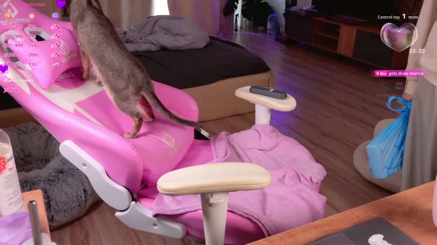 _enternity_ Adult Chat August 6, 2025