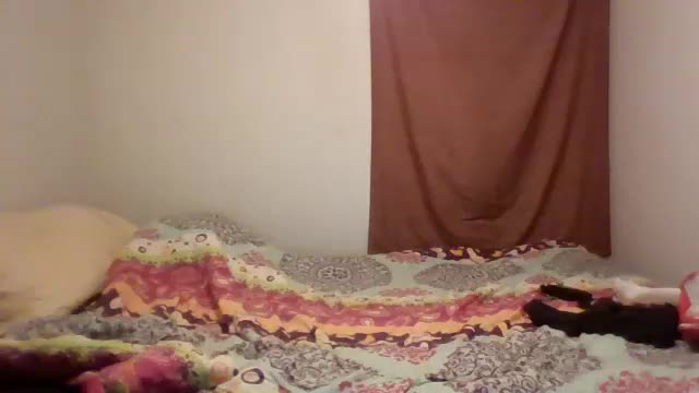 hybrid_lover419 Adult Chat August 6, 2025