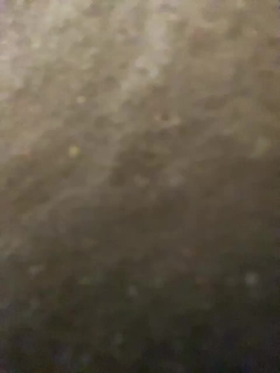 Lisa1225 Adult Chat August 5, 2025