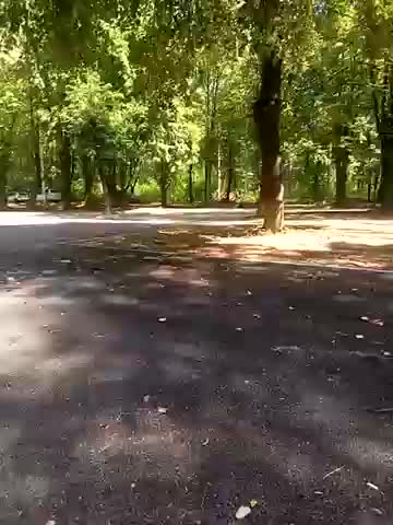 Kitanamilf Adult Chat August 6, 2025