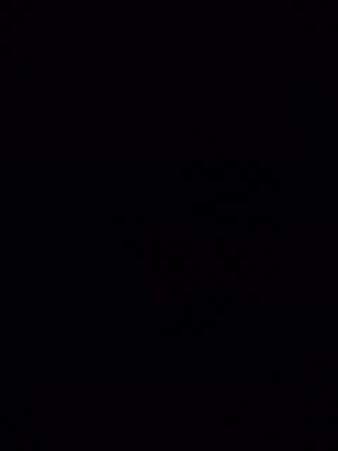 Zina2323 Adult Chat August 6, 2025