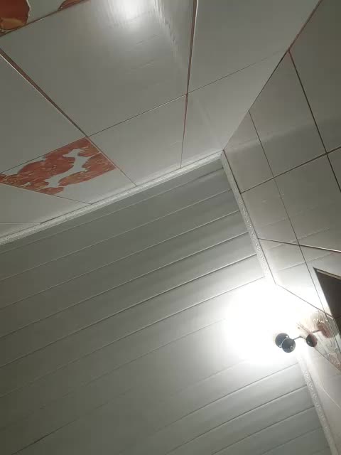 Big009DD Adult Chat August 6, 2025