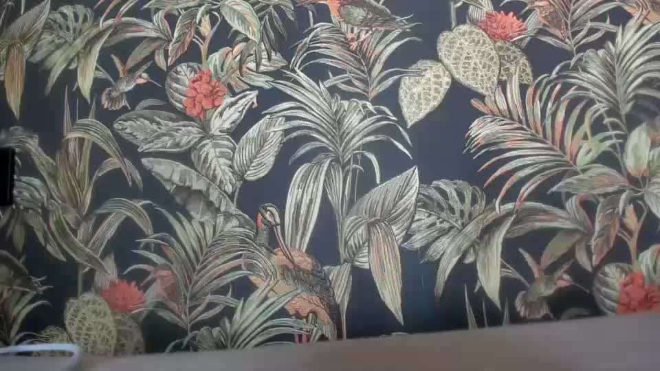 dyafirst Adult Chat August 6, 2025