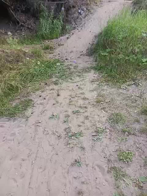 Zhozhoba69 Adult Chat August 7, 2025