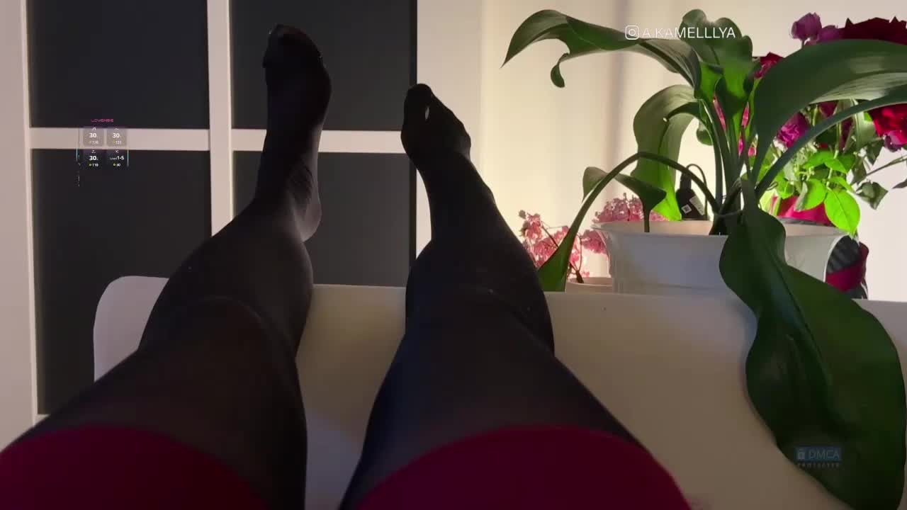 Kamelllya Adult Chat August 7, 2025