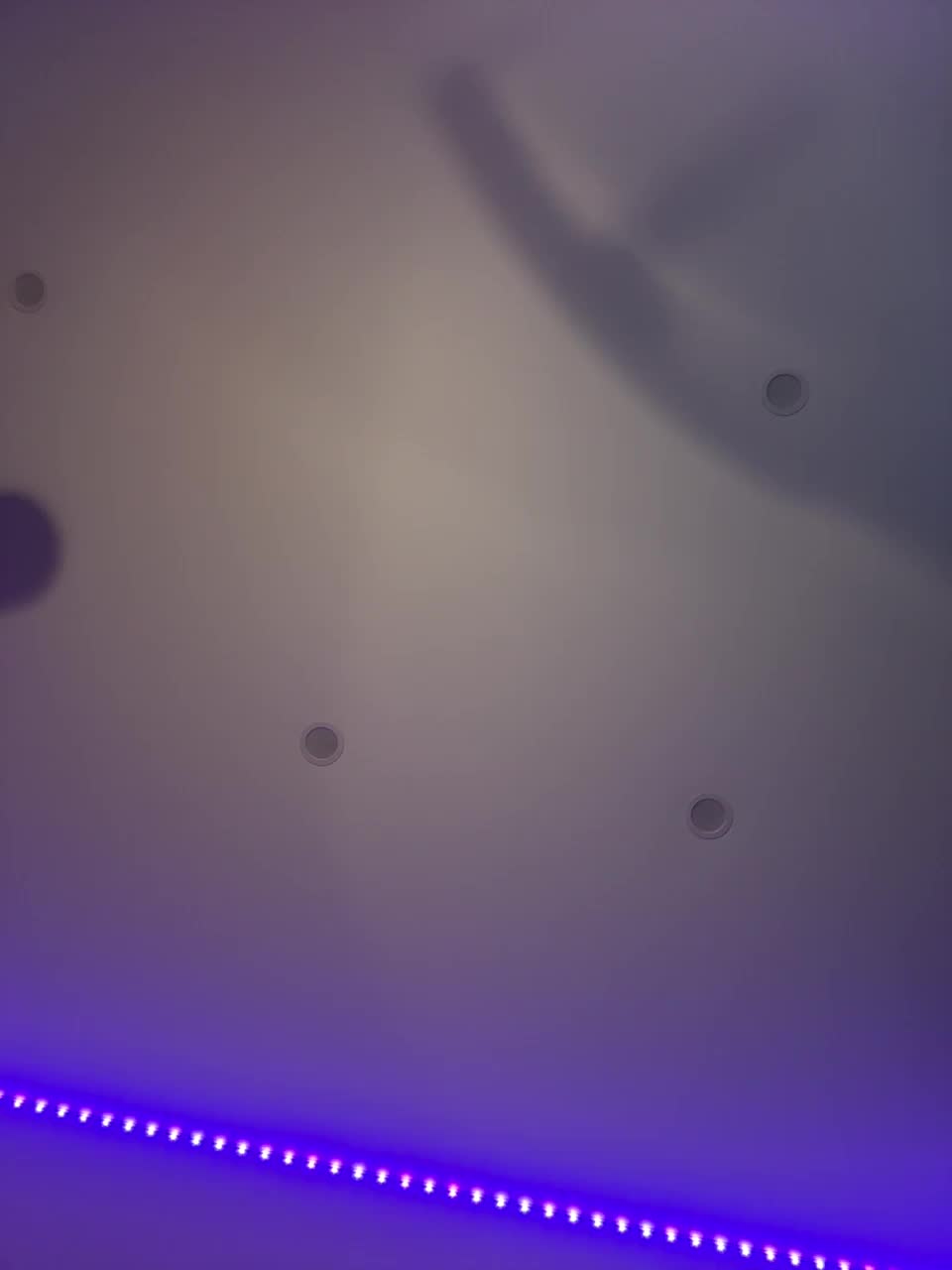 VULGARITY Adult Chat August 7, 2025