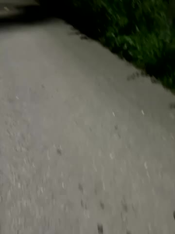 Oksiandfray Adult Chat August 7, 2025