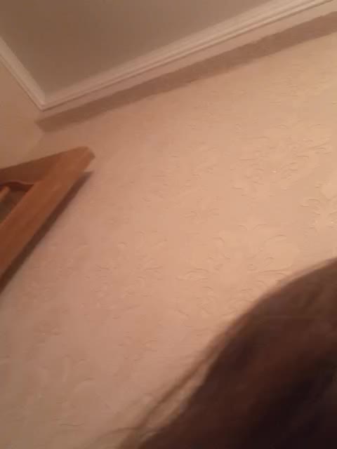 Kissa-is-klassa-a Adult Chat August 7, 2025