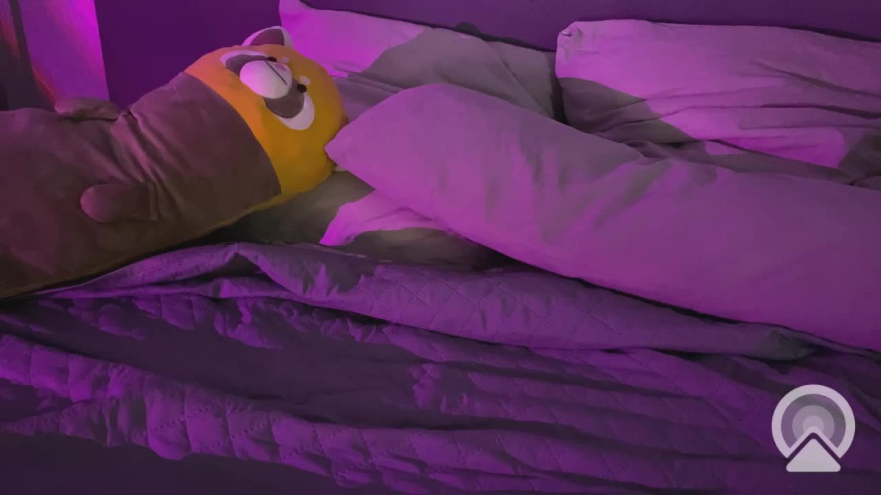 lalimyyyau Adult Chat August 7, 2025