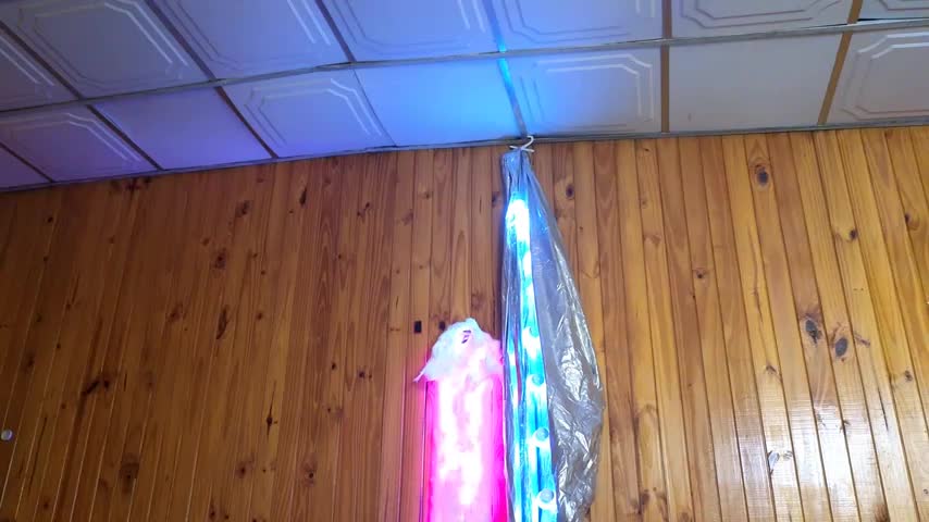 Jony_Marta Adult Chat August 7, 2025