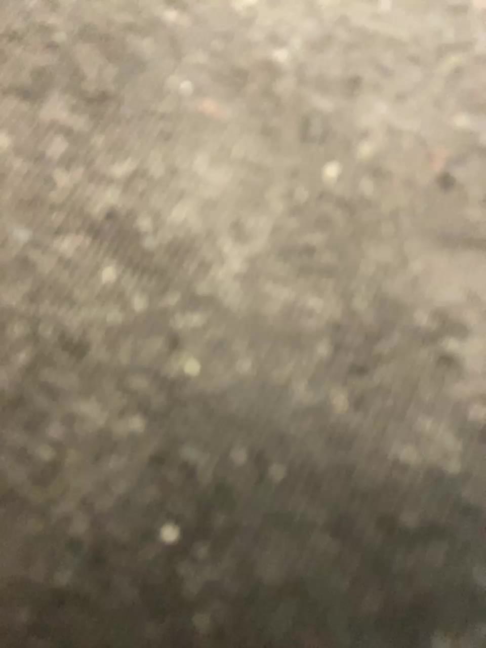 Lisa1225 Adult Chat August 7, 2025