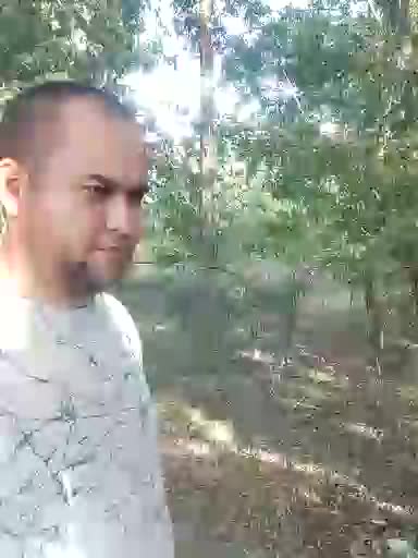 Alisa-Mi Adult Chat August 7, 2025