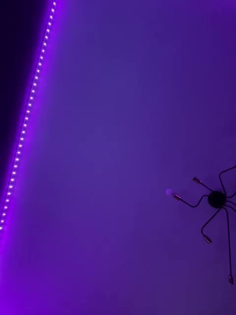 HotlineMiami Adult Chat August 7, 2025