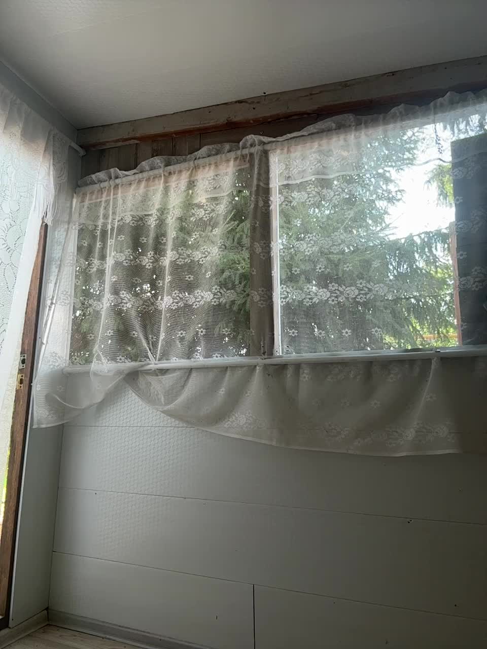 pizzahott Adult Chat August 8, 2025