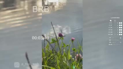 A-Huli Adult Chat August 8, 2025