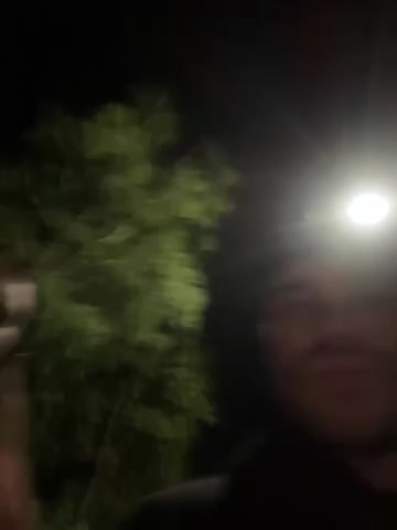 Oksiandfray Adult Chat August 8, 2025