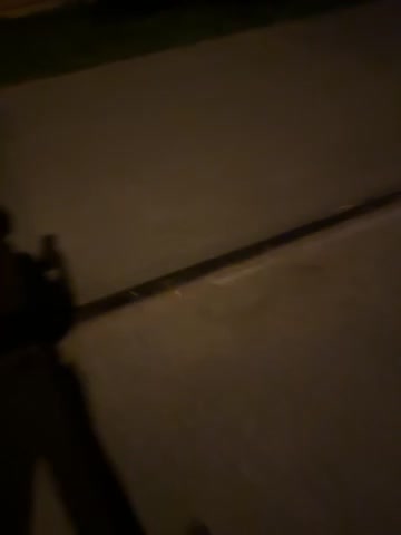 Oksiandfray Adult Chat August 8, 2025