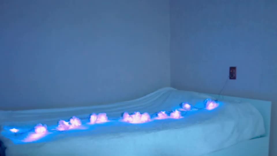 samdemia Adult Chat August 8, 2025