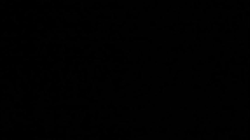 synop_sis Adult Chat August 7, 2025