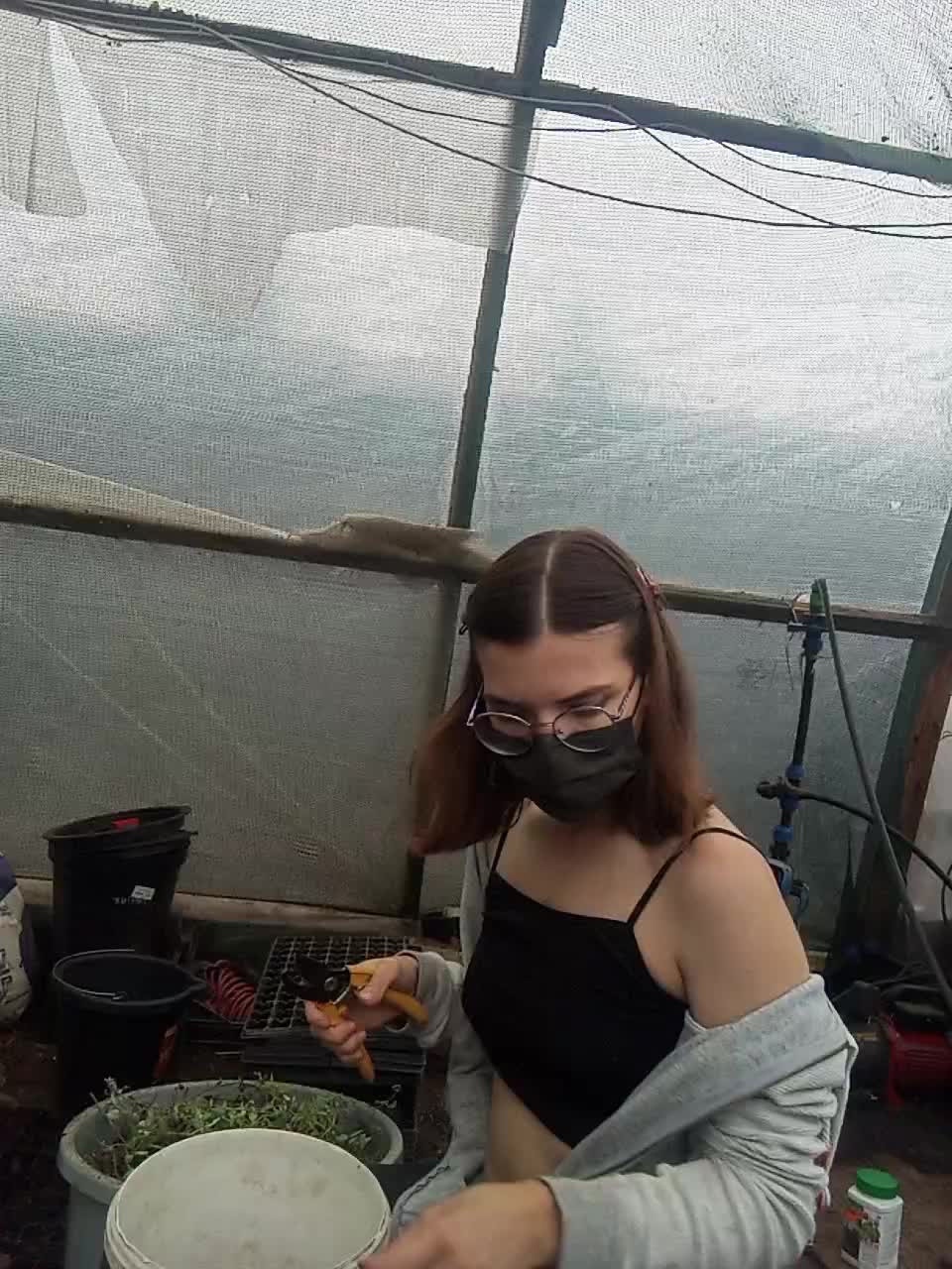 DarkCherry Adult Chat August 8, 2025