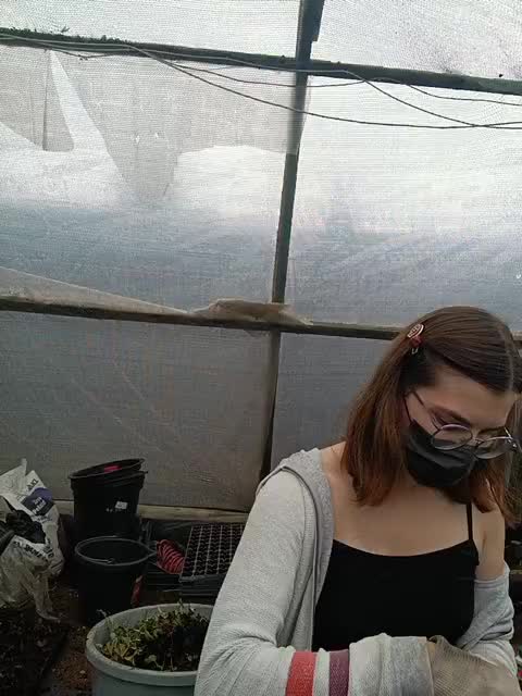 DarkCherry Adult Chat August 8, 2025