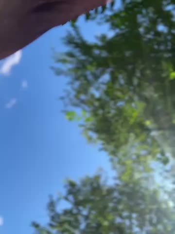 AndreaMood Adult Chat August 8, 2025