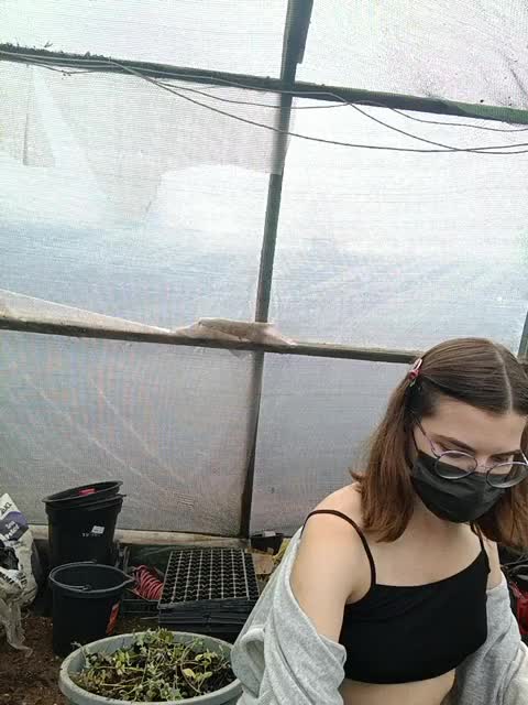 DarkCherry Adult Chat August 8, 2025