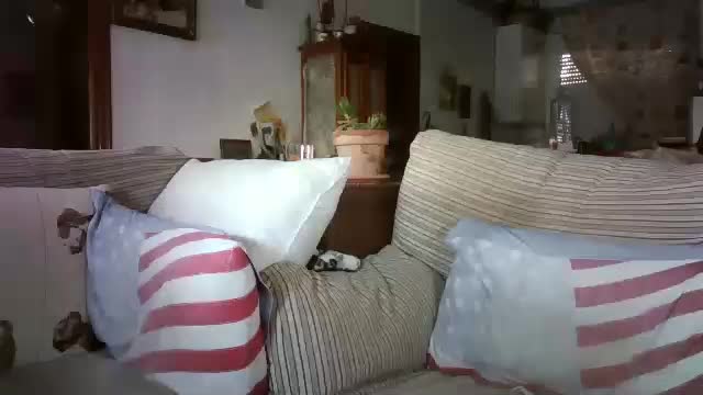 lolahueso Adult Chat August 7, 2025