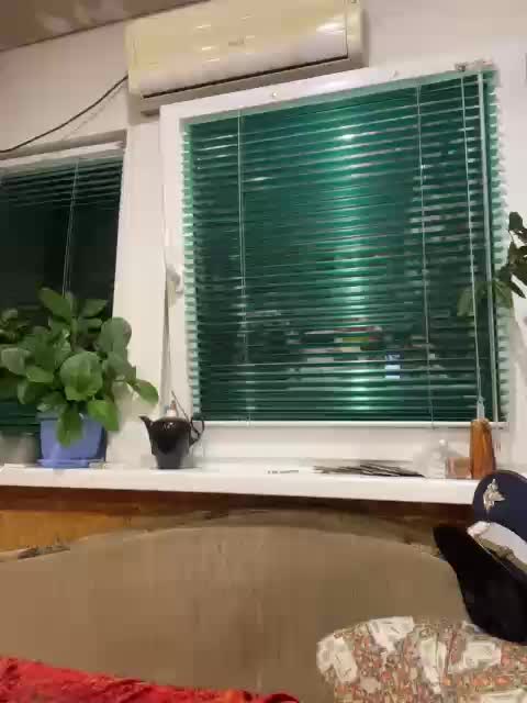 Letti28 Adult Chat August 8, 2025