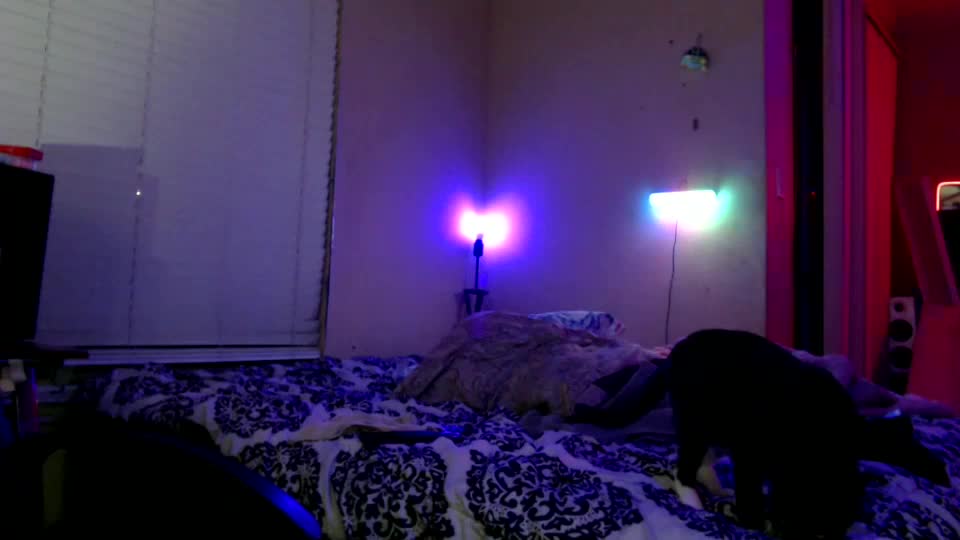 weluvwoman84 Adult Chat August 8, 2025