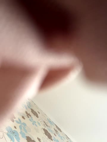 AlisaDoll444 Adult Chat August 8, 2025