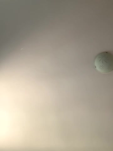 SakuPandora Adult Chat August 8, 2025