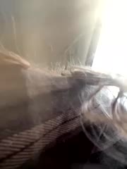 Porn_cornn Adult Chat August 9, 2025