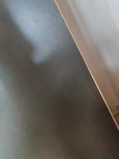 Lesik3500 Adult Chat August 9, 2025