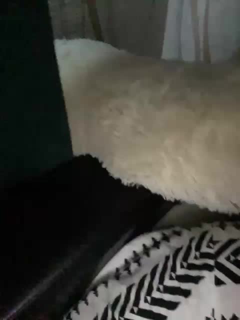 Floy-Lena Adult Chat August 9, 2025