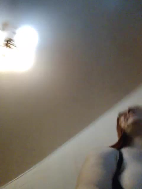 Lesik3500 Adult Chat August 9, 2025