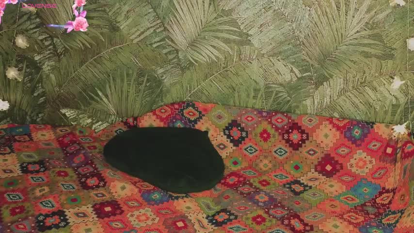 EthernalOphelia Adult Chat August 9, 2025