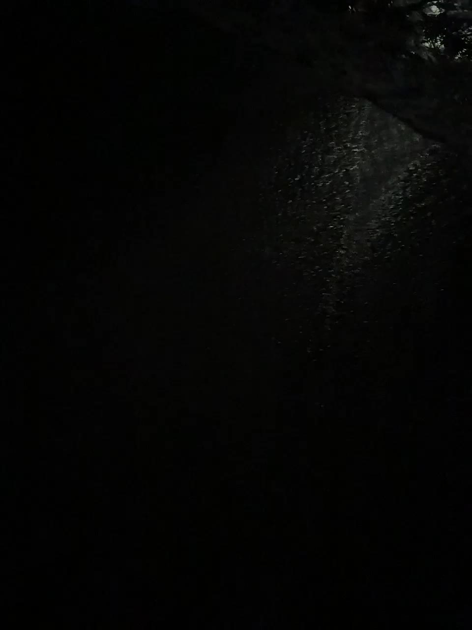 OrgazMia Adult Chat August 9, 2025