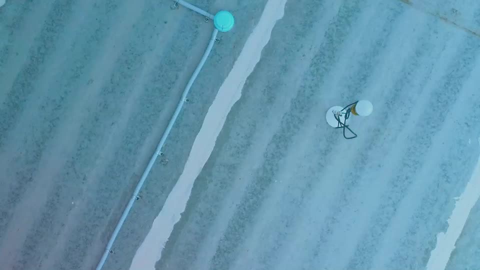 frankiefoxie Adult Chat August 9, 2025