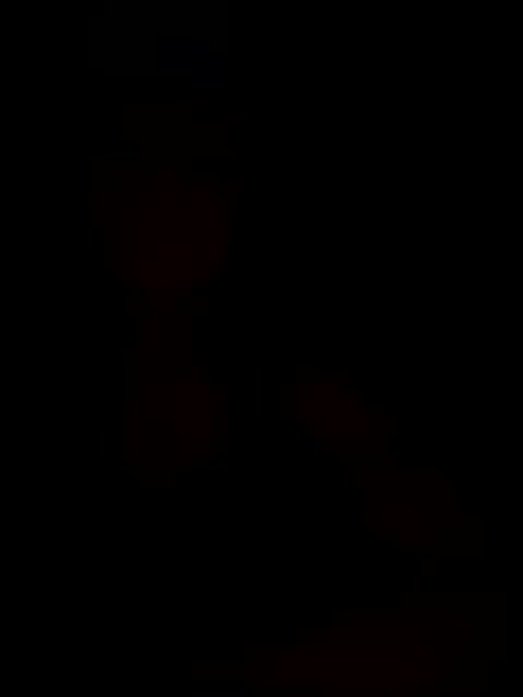 VIP17CoupleDream Adult Chat August 9, 2025