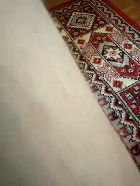 Loftpon69 Adult Chat August 9, 2025