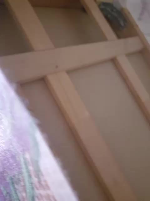 VCHELSIV Adult Chat August 9, 2025