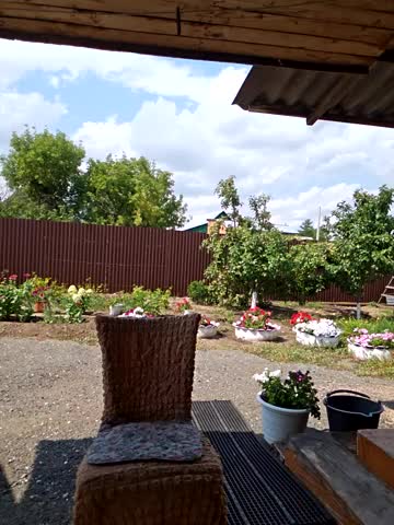 LybovNTV Adult Chat August 9, 2025