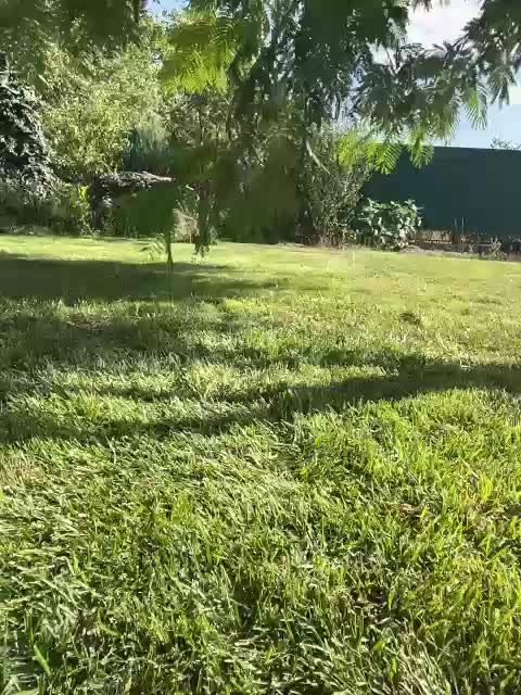 pikach00 Adult Chat August 9, 2025